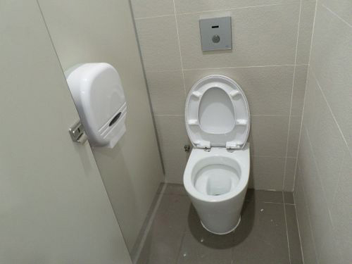 5-Star Toilet - Merlion Park @ Fullerton 