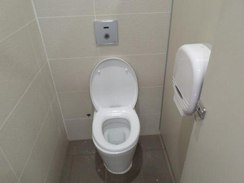 5-Star Toilet - Merlion Park @ Fullerton 