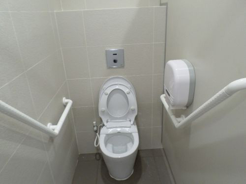 5-Star Toilet - Merlion Park @ Fullerton 