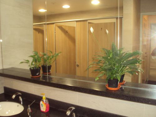 4-Star Toilet - PSA Vista 