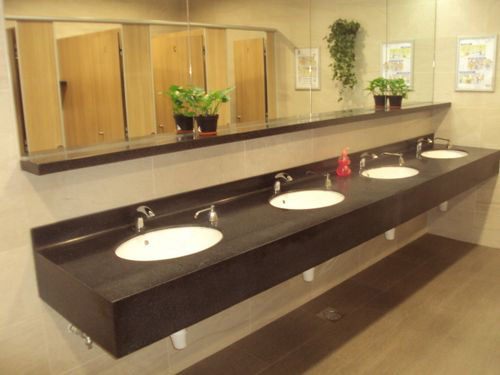 4-Star Toilet - PSA Vista 