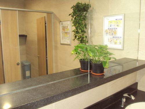 4-Star Toilet - PSA Vista 