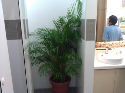 3-Star Toilet - Sunshine Place 