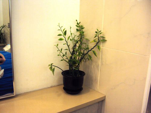 5-Star Toilet - Tampines One 