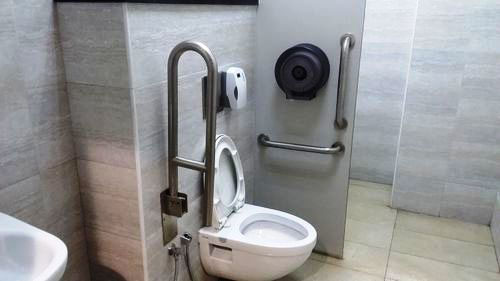 5-Star Toilet - Woodlands Depot