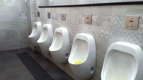 5-Star Toilet - Woodlands Depot