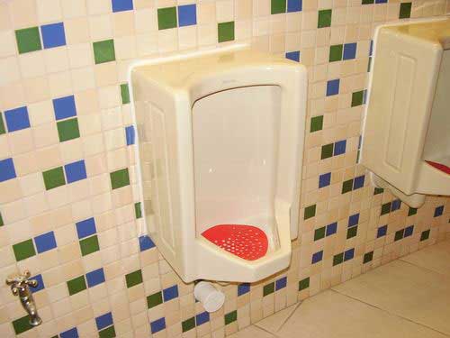 5-Star Toilet - Ministry of the Environment & Water Resources, Environment Building 